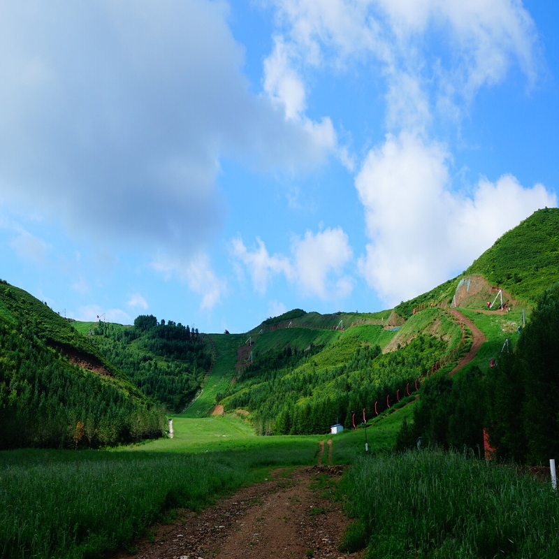 崇禮區(qū)推動全域雪道夏季補(bǔ)植復(fù)綠270畝