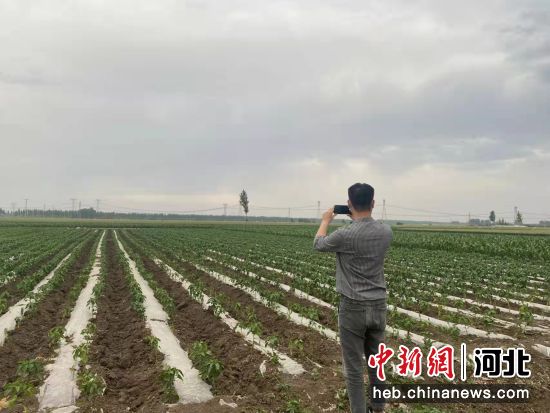 “田長(cháng)”護田 “數字”管地 聚焦河北耕地保護專(zhuān)項行動(dòng)(圖2)